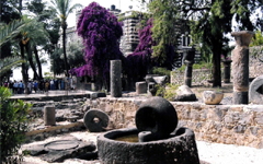 イスラエルカファルナウムの遺跡
