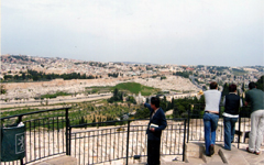イスラエルオリーブ山から一望
